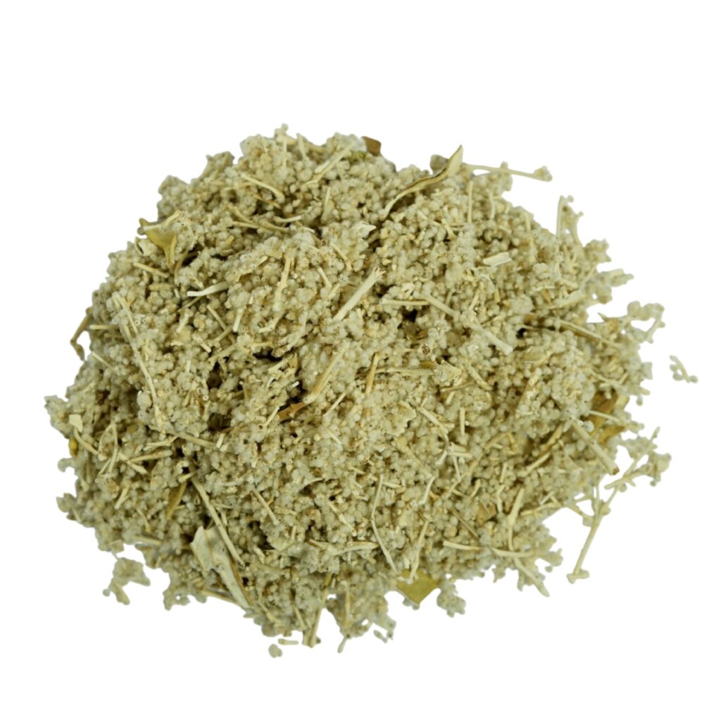 Flor blanca seca