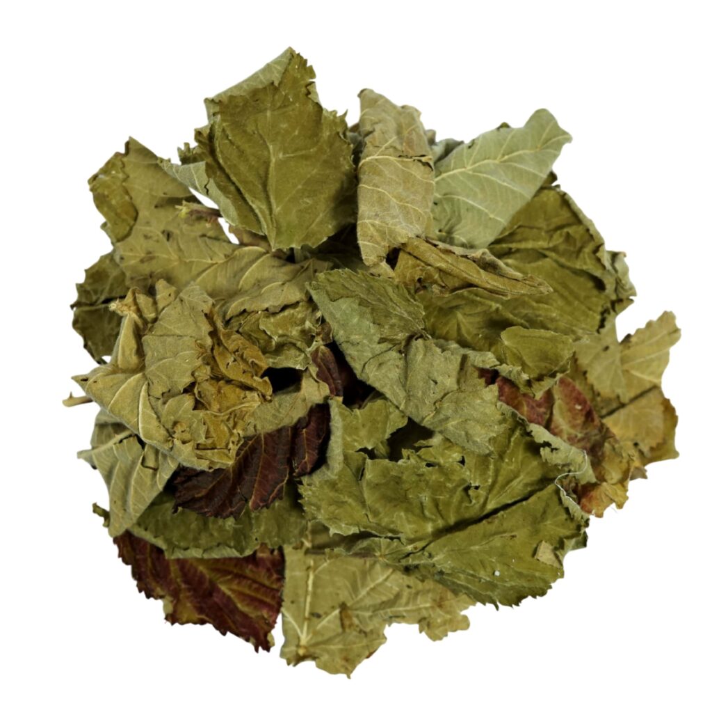 Hojas de frambuesa secas