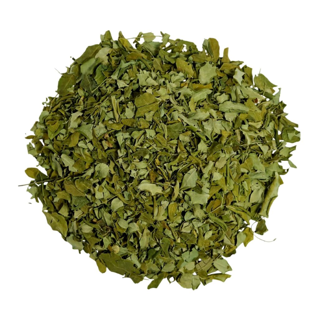 Hojas de moringa seca